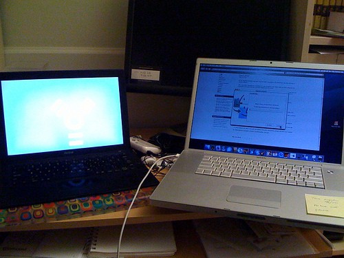 babies and laptop photo