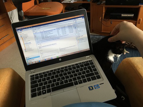   3 Tips How To Earn Money Online Everyday  