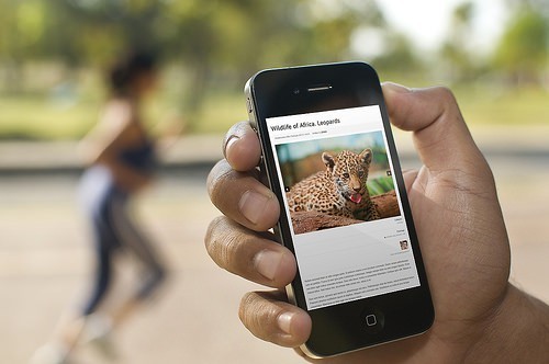 blogs wordpress photo