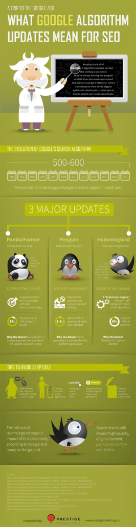 What Google Algorithm Updates Mean For SEO - Infographic