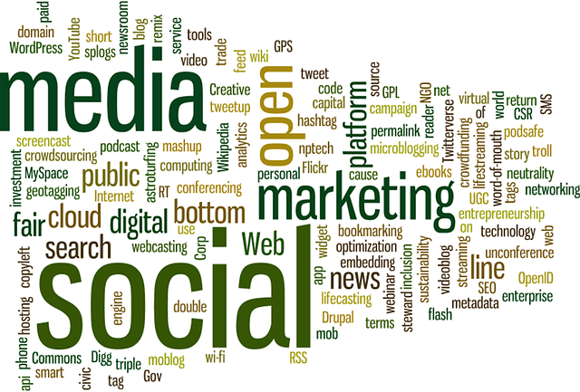 The Role Of SEO And Social Media To Your Online Success