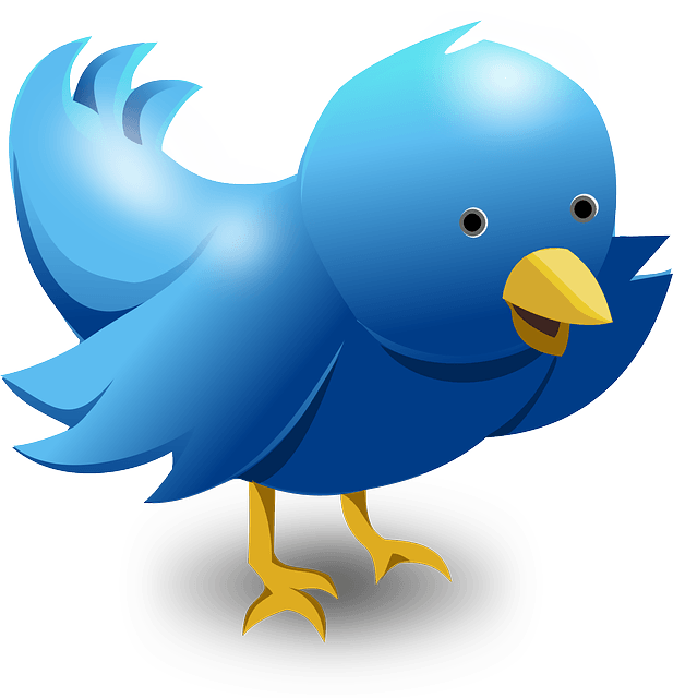 3 Tips On How To Promote Your Website On Twitter