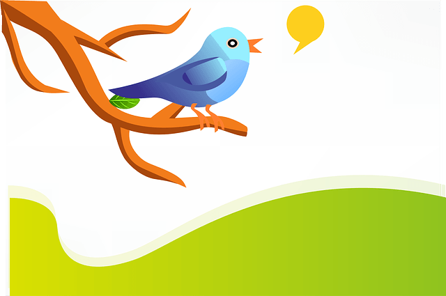  10 Tips To Get More Traffic And Followers On Twitter