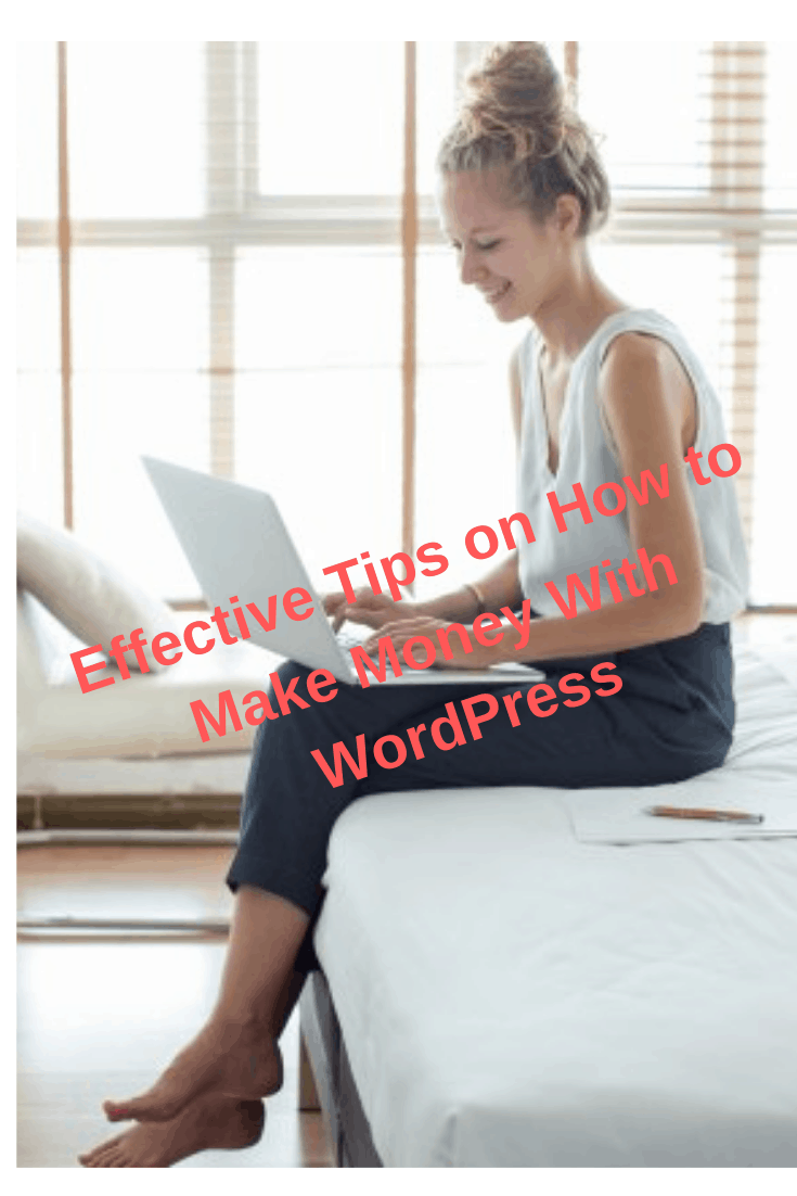 Effective Tips on How to Make Money With WordPress