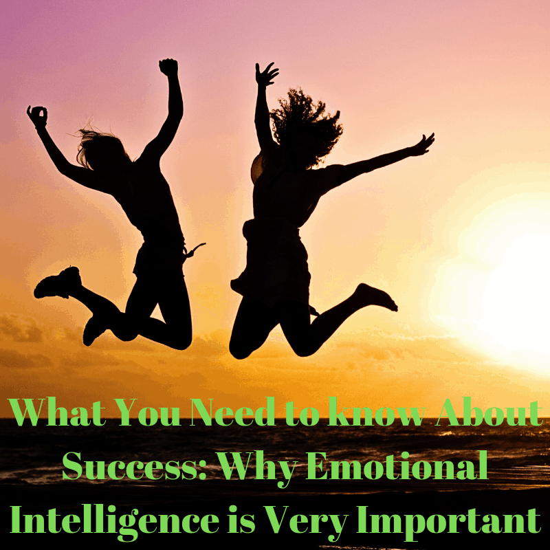 What You Need to know About Success: Why Emotional Intelligence is Very Important