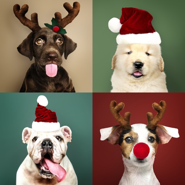 Color Psychology and Brands: Stats and Facts [Infographic]