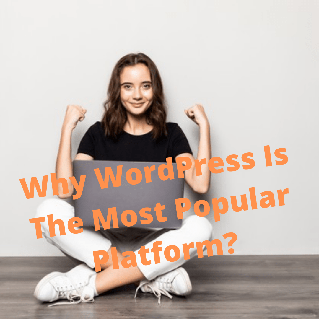 WordPress: 5 Reasons Why Is The Most Popular Platform
