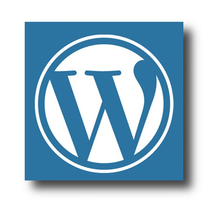 WordPress: Plugins To Build A Mobile-Friendly Website 

