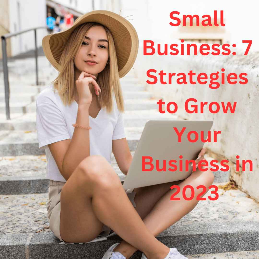 Small Business: 7 Strategies to Grow Your Business in 2023 
