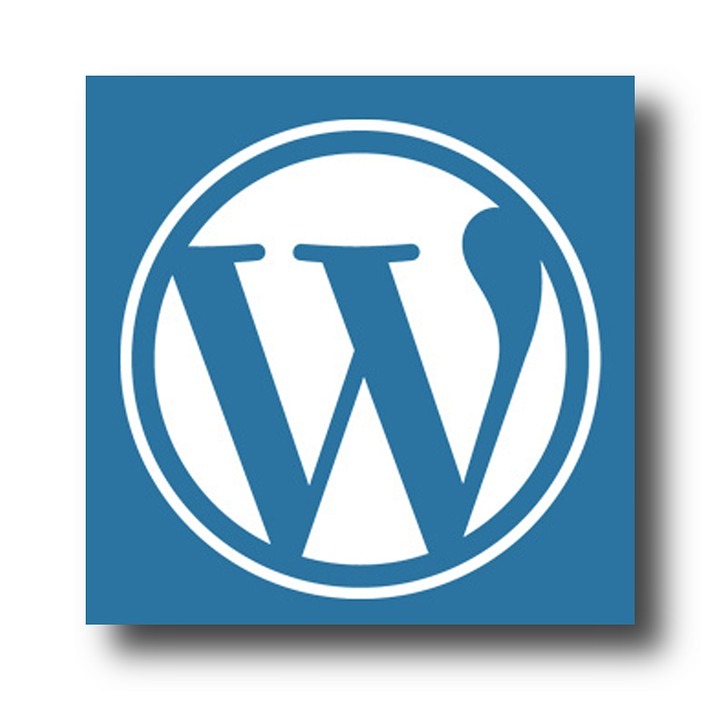WordPress Site: Tips to Boost Visibility (And Traffic)