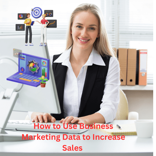 How to Use Business Marketing Data to Increase Sales (Guide) 


